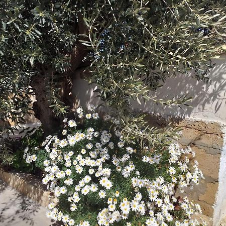Casa Le Gebbie Villa Marzamemi Kültér fotó