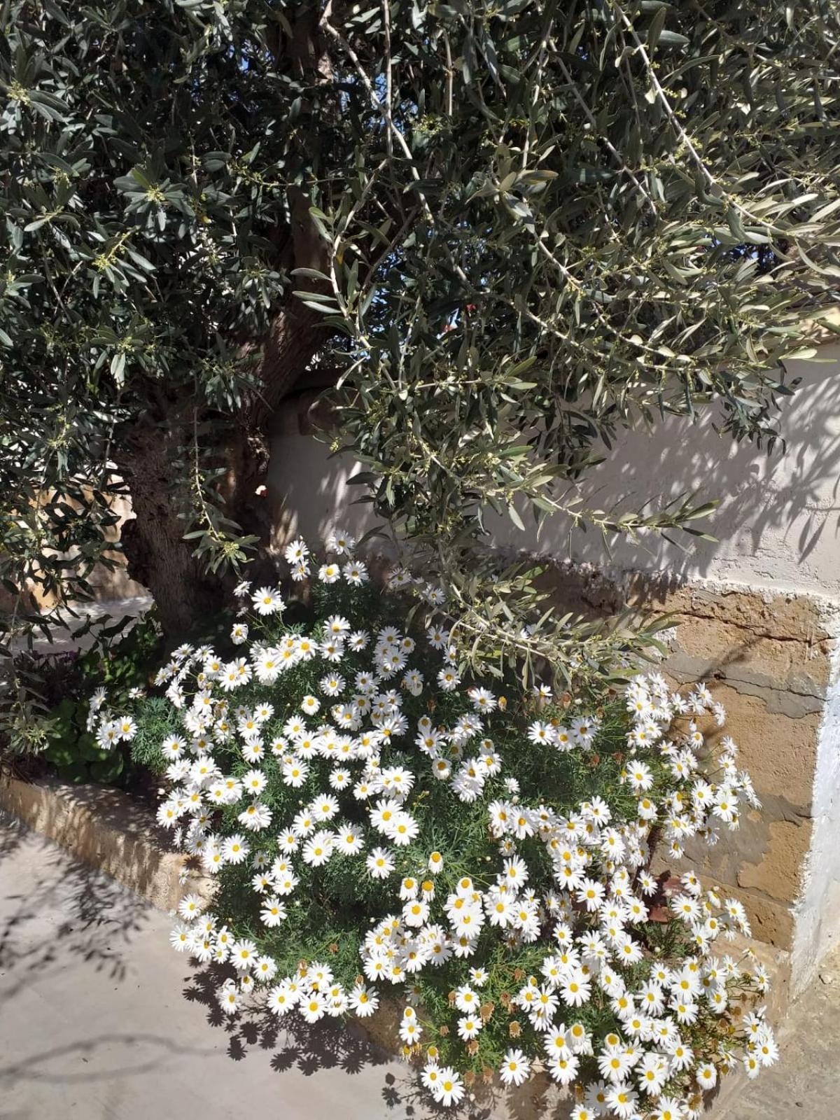 Casa Le Gebbie Villa Marzamemi Kültér fotó