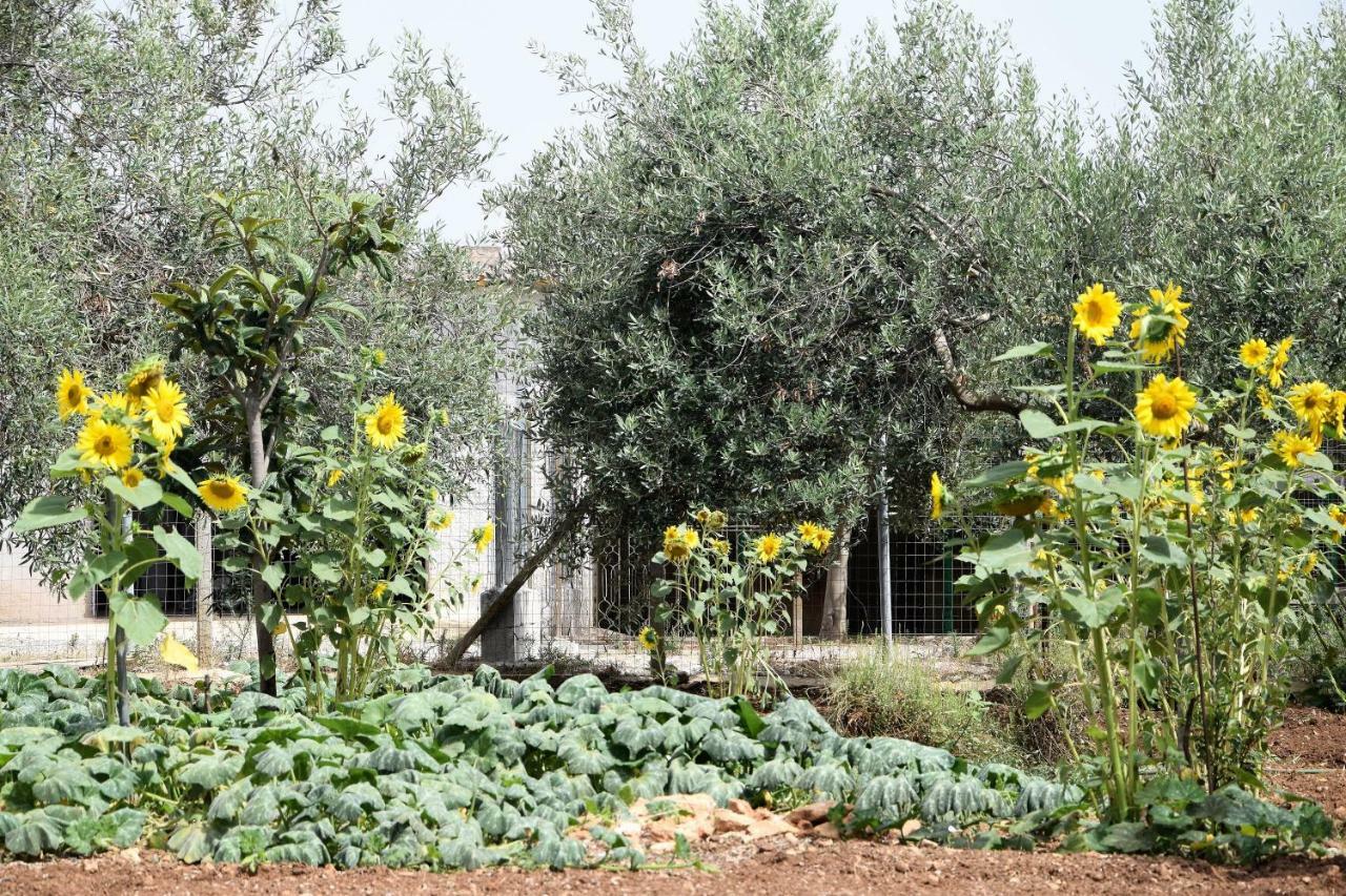 Casa Le Gebbie Villa Marzamemi Kültér fotó